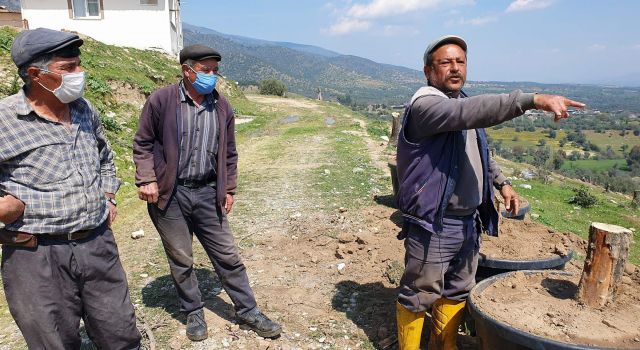    Bozdoğan’da kesilen zeytin ağaçları için vatandaşlar tepkili  