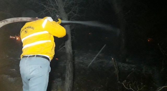 Bozdoğan'daki orman yangınında 2 hektarlık alan zarar gördü