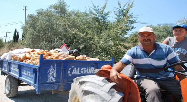 Her Yıl 18,8 Milyon Ton Gıda Çöpe Gidiyor