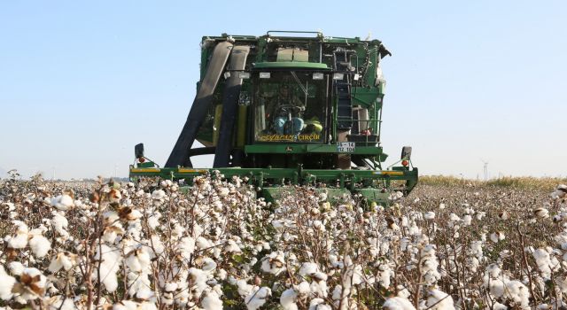 Bakan Pakdemirli'den Müjde: Pamuk Primleri İçin Tarih Verdi