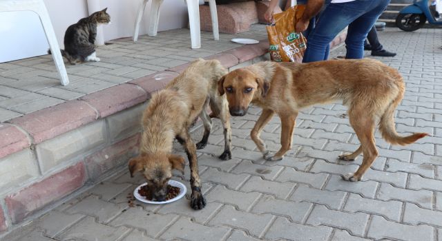 Bayram Öncesi Can Dostlar Unutulmadı