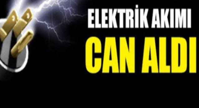 Elektrik Akımı Can Aldı