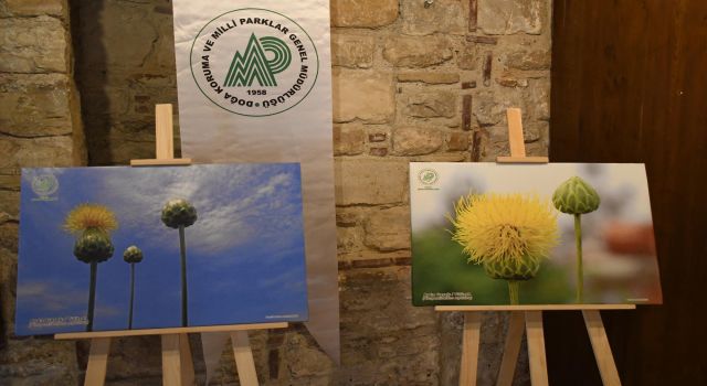 Kuşadası’nın Tülüşahı İbramaki Sanat Galerisi’nde