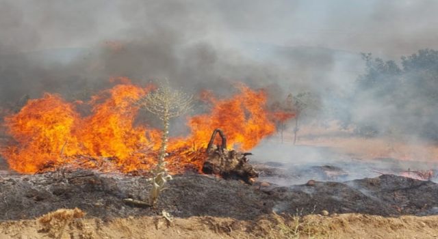Nazilli'de İncir Ve Zeytin Bahçesi Yandı