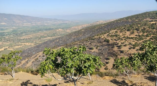 Nazilli’deki  Yangın Kontrol Altına Alındı