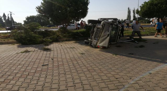 Takla Atan Kamyonet,Çam Ağacını Devirdi