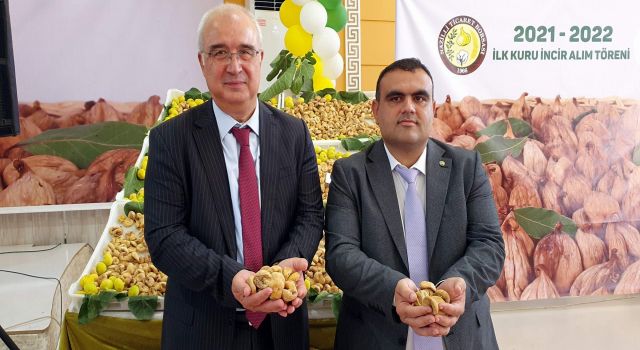 İlk İnciri Kaymakam Arısoy Aldı