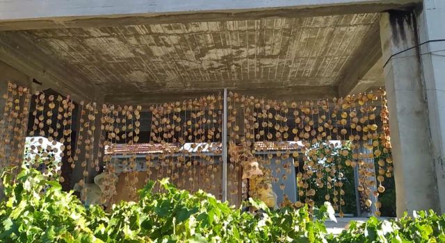 Ham olarak çaldığı Trabzon hurmalarını satmak yerine evine götürüp işledi