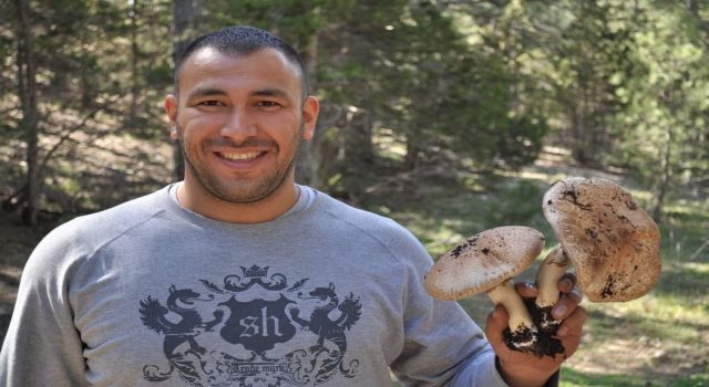 Uzmanlar uyardı: Lütfen bilmediğiniz mantarı tüketmeyin
