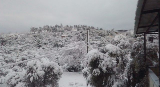 Bodrum da beyaza büründü