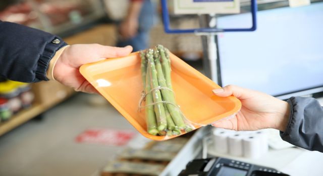 Aydın Büyükşehir’in ürettiği kuşkonmazlar Halk Ege Et Markette