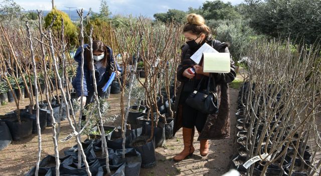İzinsiz fidan satışına ceza