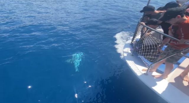 Yunus tur teknesine eşlik etti