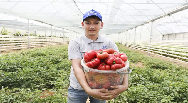 Aydın Büyükşehir Belediyesi Ata Tohumlardan Üretti Halkla Buluşturdu  
