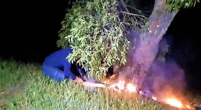 Yıldırım isabet eden ağaç alev aldı