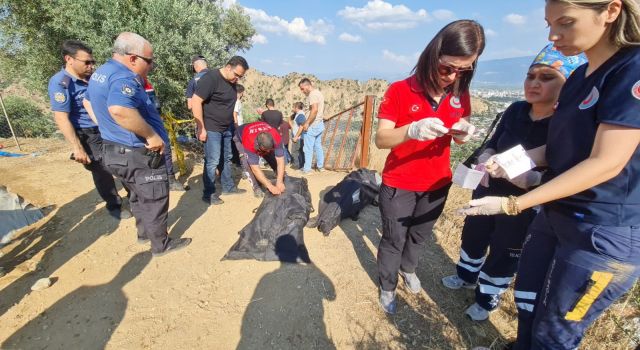 Gölette boğulan çocukların kimlikleri belli oldu