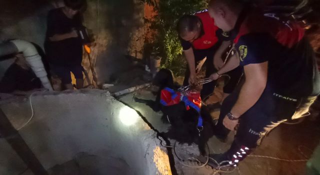 Kuyuya düşen yavru keçiyi itfaiye kurtardı
