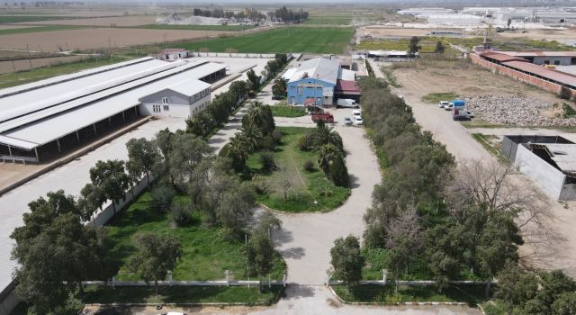 Nazilli’de kurban kesim fiyatları açıklandı