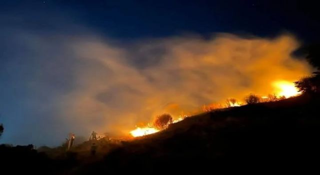 Söke’deki yangın paniğe neden oldu