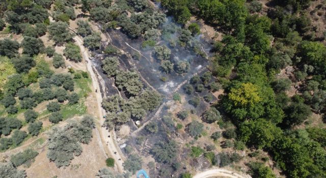 Bozdoğan’daki zirai alandaki yangın söndürüldü