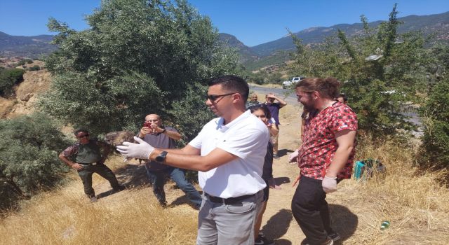 Yabani kuşlar yaşam alanlarına geri döndü