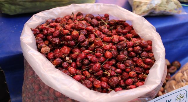 Dağlardan gelen şifa kaynağı kuşburnuna rağbet arttı