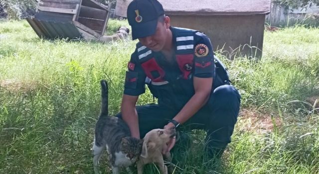 Jandarma can dostları unutmuyor