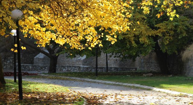 Sonbaharın eşsiz güzelliği