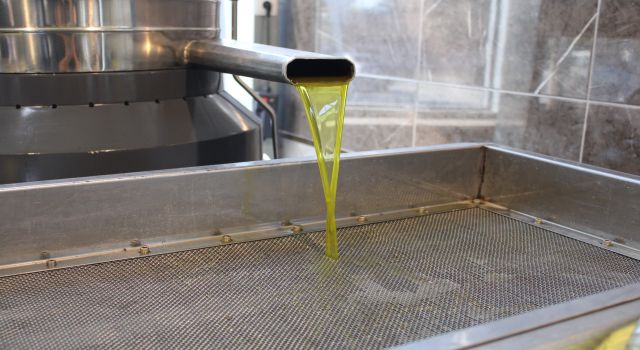 Zeytin sezonu ile birlikte yağhanelerde de yoğunluk başladı