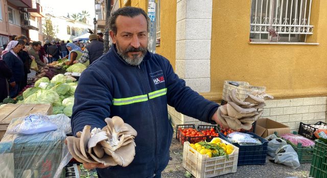 Kırmızı etin alternatifi kapış kapış gidiyor