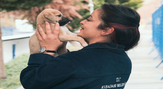 Kuşadası 2022 yılında can dostlara ev sahipliği yaptı
