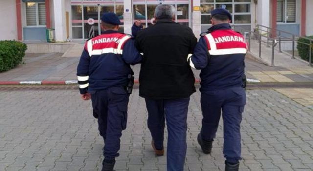 Zeytin hırsızını jandarma yakaladı