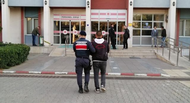 75 bin dolar para çaldı, jandarmaya yakalandı