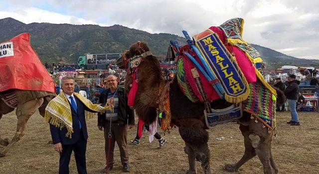 Buharkent'te deve güreşi festivali düzenlendi