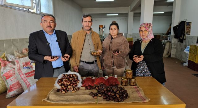 Nazilli'de kestane üreticilerinden Çin kestanesine tepki
