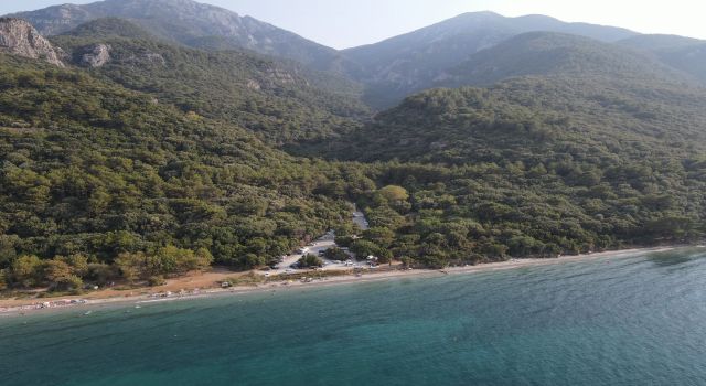 1 yılda 20 bin fidan toprakla buluştu