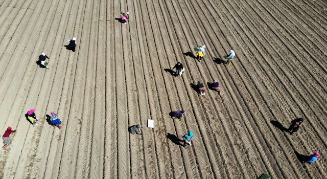 Çiftçilere destek ödemeleri start verdi