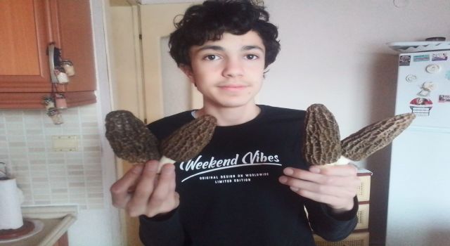 Kuzugöbeği yüzünü erken gösterdi