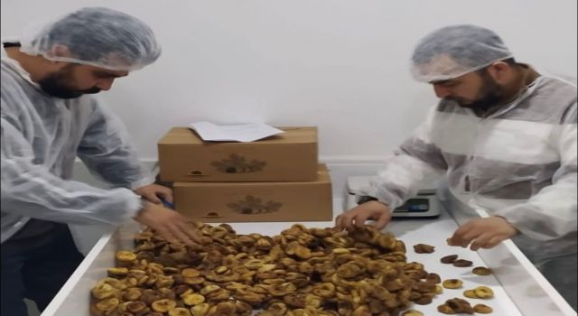 Nazilli'de 19 bin 472 ton tarımsal ürüne ihracat kontrolü