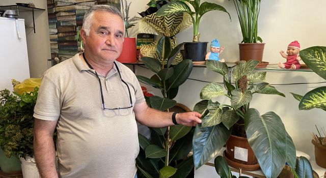 Çiçekçilerden yazlık bakım tavsiyesi