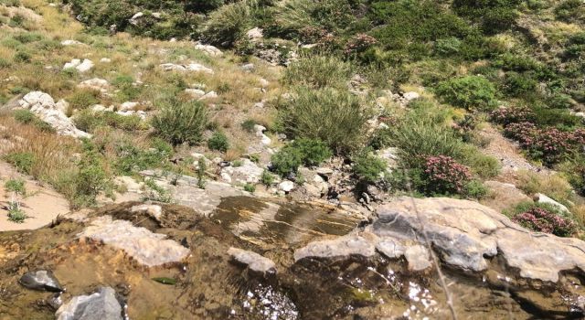 Kayalıklardan düşen adam hayatını kaybetti