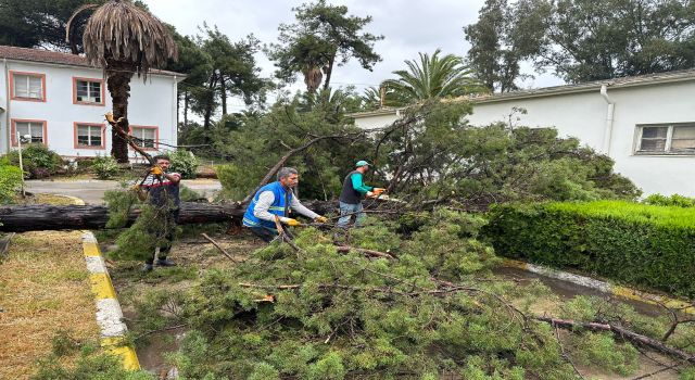 Nazilli Belediyesi vatandaşın yanında