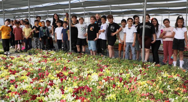 Aydın Büyükşehir'in fidanlığı öğrencileri misafir etti