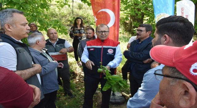 İlk kez denendi, üreticisine umut oldu