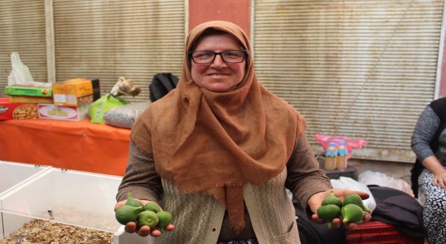 İncir reçelinde kullanılan ilekler tezgahlarda yerini aldı