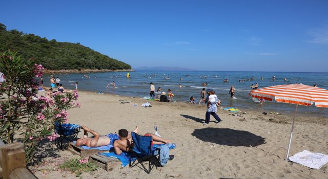 Sıcaktan bunalan denize akın etti