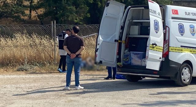 Yol kenarında ölü bulundu
