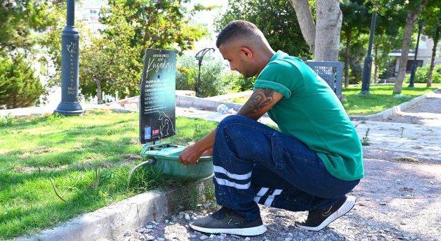 Kuşadası Belediyesi candostlar için sulukların sayısını arttırdı