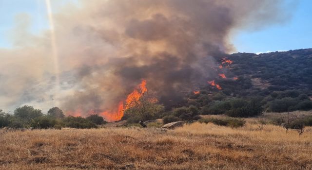 Bozdoğan'daki maki yangını kontrol altına alındı