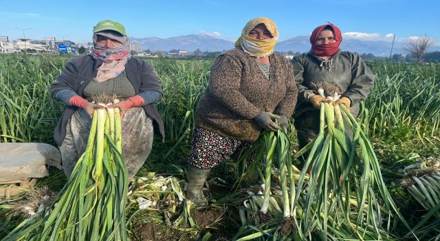 Çalışarak sağlığını koruyor